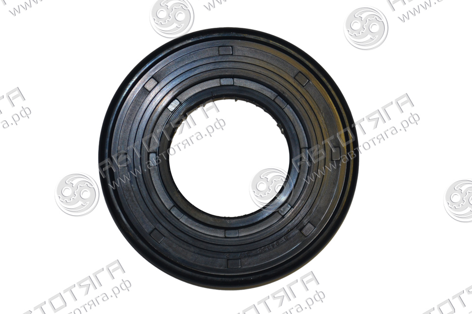 Сальник ступицы задней наружный (49*100*8) 4HK1(E3 Isuzu NQR71/75/90/NPR75